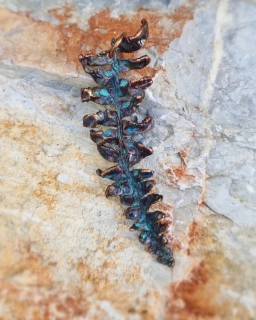 Pokovená kapradina - přívěsek 8,5cm
