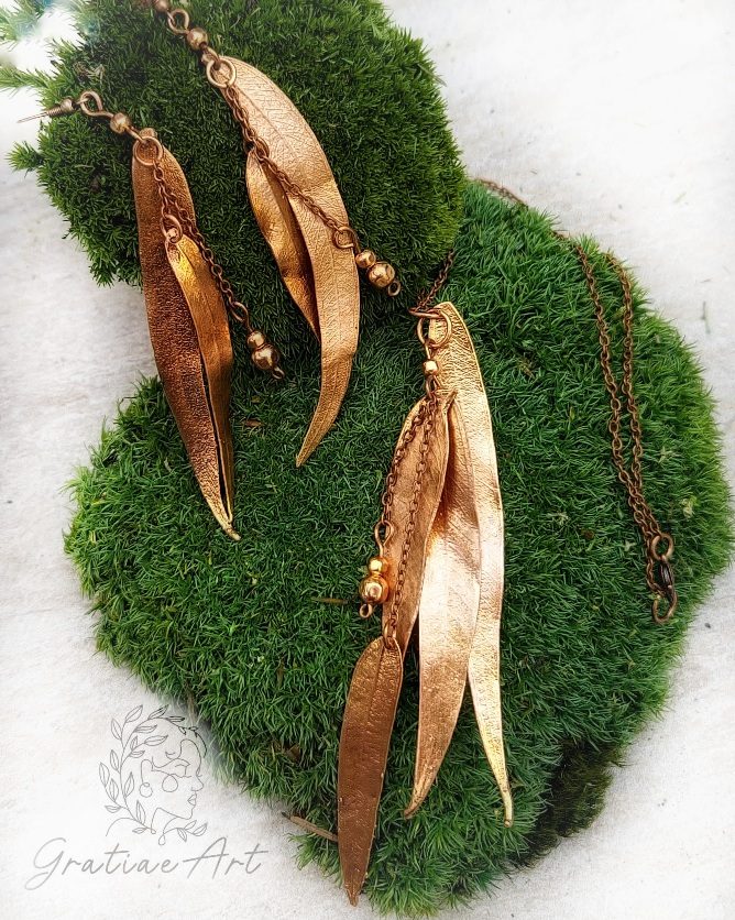 Sada eukalyptus